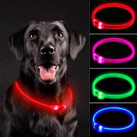 NOVKIN LED Dog Collar, Rechargeable Light Up Dog Collars,IP67 Waterproof Dog Lights for Night Walking，Adjustable, Reusable Safety Necklace for Small Medium Large Dogs (Red)