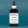 Pure Herbs, Ltd. Plantain (4 oz.)
