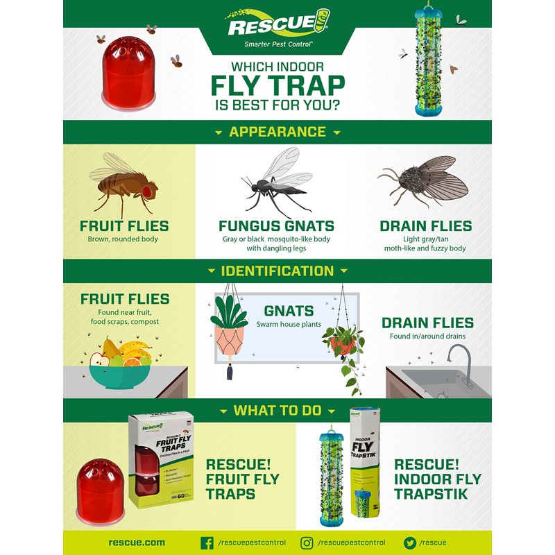 RESCUE! Fruit Fly Trap Bait Refill - 30 Day Supply