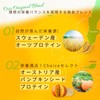 Choice ゴールデン プラントプロテイン+ 抹茶味 500g 植物性たんぱく質 パンプキンシード オーツ麦 プロバイオティクス配合 乳製品不使用