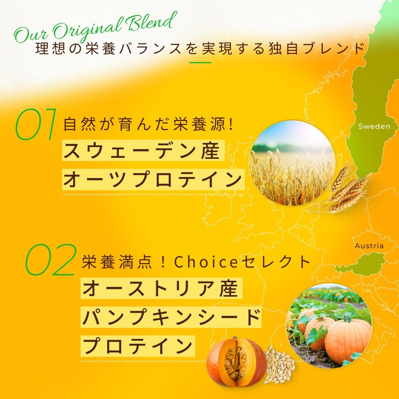 Choice ゴールデン プラントプロテイン+ 抹茶味 500g 植物性たんぱく質 パンプキンシード オーツ麦 プロバイオティクス配合 乳製品不使用