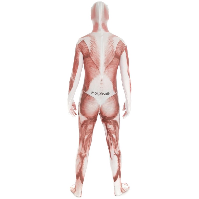 Morphsuits Men's Adult Costume, Muscle, Large