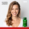 Berberina HCL Pura - Antioxidante - Sin Rellenos 5H8 NUTRITION