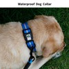 NIMBLE Dog Collar Waterproof Pet Collars Anti-Odor Durable Adjustable PVC