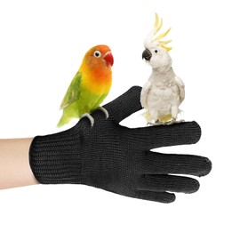 Tezuyok Bird Training Anti-Bite Gloves, Bite Proof Gloves, Small Animal Handling Chewing Protective for Small Animal Pet(Black