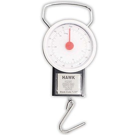 Compact Luggage Scale