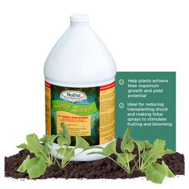 Medina Liquid Seaweed Fertilizer for Plants - Concentrated Seaweed Fertilizer for Lawn and Garden - Enhances Plant Growth and Soil Health - Ready to Spray - 1 Gallon Covers 64000 Sq. Ft.