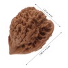 KOMBIUDA 2pcs Walnut Hand Massage Balls for Acupressure Therapy and