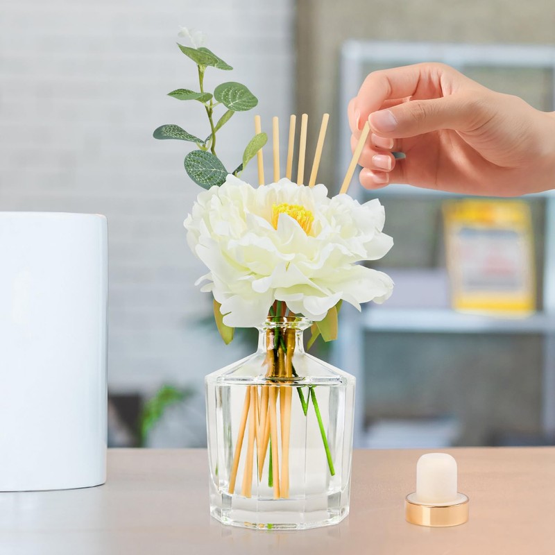 L'odeur Vill Reed Diffuser, 8.5 Oz(250ml) Moroccan Amber Bathroom Diffuser