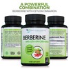 DOCTOR RECOMMENDED SUPPLEMENTS Berberine with Ceylon Cinnamon - 1200mg Berberine