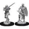 Nolzurs D&D Marvelous Unpainted Miniatures: Wave 9: Human Female Fighter