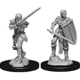 Nolzurs D&D Marvelous Unpainted Miniatures: Wave 9: Human Female Fighter