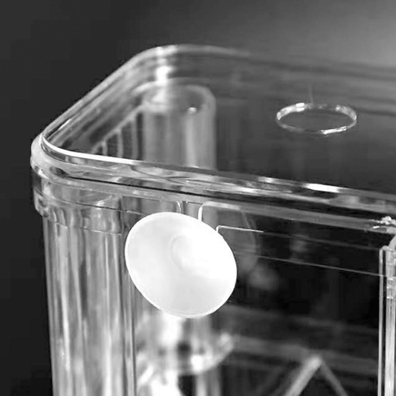 FGXY Aquarium Fish Breeding Box, Plastic Fish Isolation Box, Multi-Functional