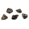 Turritella Agate Small Crystal Tumbled Stones - 5 Pc