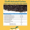 EnviroSupply 12x40 Ultra Pure Prewashed Virgin Coconut Shell Activated Carbon