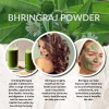 Polvo Nutritivo Para El Cabello Herbs Botanica Bhringraj Org