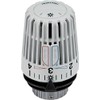 TA Heimeier 6040-00.500 Thermostat Head with Anti-Theft Device with 2