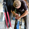 Hoof Nippers - Farrie Repair Trimming Tools - Horse Trimmers