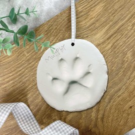 Clay Pet Paw Impression Kit | Clay Moulding Keepsake for Dogs & Cats | Easy-to-Use | Memorial, Puppy & Kitten Paw Prints | Air Drying Clay