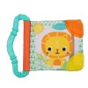 Bright Starts New Bright Starts Teethe & Read Take-Along Toy