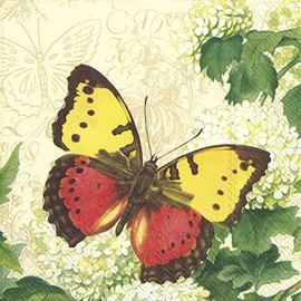 Butterfly Sommer Creme Ihr Papier Lunch Servietten 20 Stück 3-lagig 33 cm quadratisch