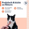 felmo Skin and Coat Paste for Cats (100g) Supports Improvement