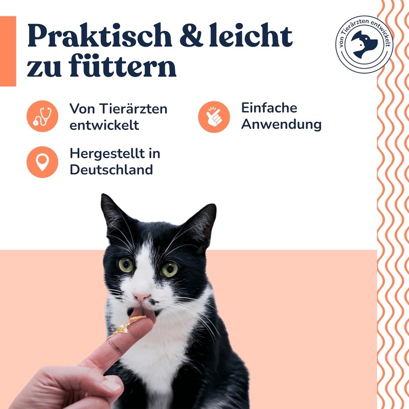 felmo Skin and Coat Paste for Cats (100g) Supports Improvement