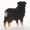 Conversation Concepts Australian Shepherd