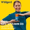 Wellgard Vegan Sea Moss Gummies, Formulated for Immunity with Iodine,