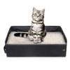 Normal Cat Litter Box for Multiple Cats