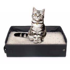 Normal Cat Litter Box for Multiple Cats