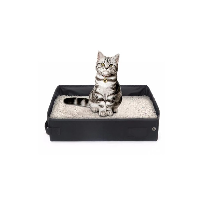 Normal Cat Litter Box for Multiple Cats