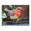 Homes on Trend Garden Robin Bird Ornament Statue Decorative Birds