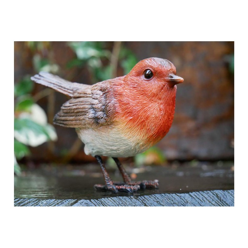 Homes on Trend Garden Robin Bird Ornament Statue Decorative Birds