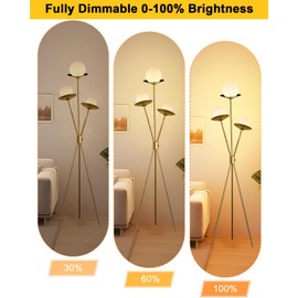 Lightdot Tripod Floor Lamp Dimmable Globe Floor Lamps with 3 LED Bulbs, 3000K Soft Warmwhite Mid Century Modern Standing Lamps Gold Tall Lamp for Living Room Bedroom