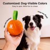Potaroma Dog Ball Toys with Rope, Interactive Motion Activated 3