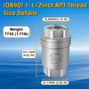 Boltigen 1-1/2 inch Spring Check Valve, 304 Stainless Steel CF8