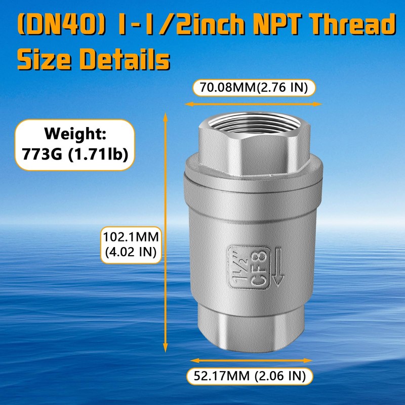 Boltigen 1-1/2 inch Spring Check Valve, 304 Stainless Steel CF8
