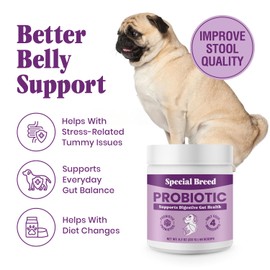 Probiotics for Dogs - Dog Probiotics Powder for Digestive Health, Gut Support & Immune Boost - Premium Blend with Prebiotics & Digestive Enzymes - Maximum Potency - 60 Scoops