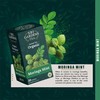 Sri Gardens Tea Moringa Mint Tea Bags, 20 count