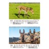 Eselzauber DIN A5 Desk Calendar for 2022 Donkey Seelenzauber