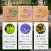 Olive from Hokkaido, No Additives, Face Wash, Full Body, Sensitive