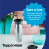 TUPPERWARE Brand Cold Brew Carafe - Coffee & Tea Container