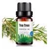 Naturalcare Aceite Esencial De Árbol De Té 100% Natural Puro