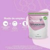 Colágeno Hidrolizado Ácido Hialurónico Pronat 500g Sabor Manzana Verde