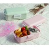 Skater PFLB6AG-A Antibacterial Fluffy Lunch Box with Dome-Shaped Lid, 18.9