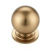 Ravinte Decor 12 Pack Champagne Bronze Cabinet Knobs, Round Dresser