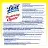 Lysol Lysol Professional Lysol Professional Disinfectant Deodorizing Cleaner 128 Pack