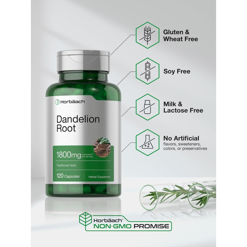 Horbäach Dandelion Root Supplement | 120 Capsules | Non-GMO, Gluten