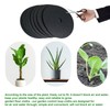 Clydewy 25pcs Cabbage Plant Collars for Plants Slug Deterrent 5.9